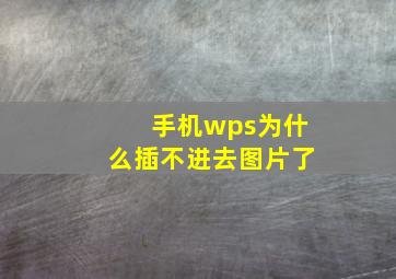 手机wps为什么插不进去图片了