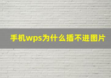 手机wps为什么插不进图片