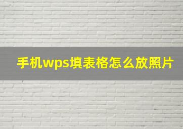 手机wps填表格怎么放照片