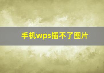 手机wps插不了图片