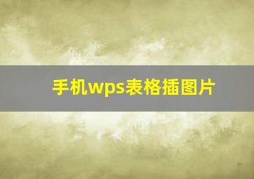 手机wps表格插图片