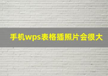 手机wps表格插照片会很大