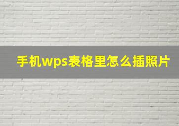 手机wps表格里怎么插照片