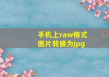 手机上raw格式图片转换为jpg