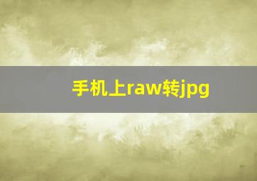 手机上raw转jpg