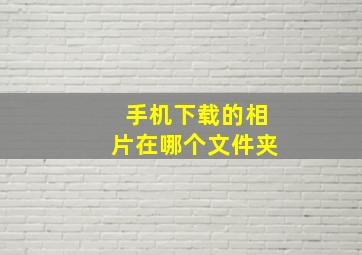 手机下载的相片在哪个文件夹