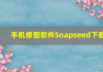 手机修图软件Snapseed下载