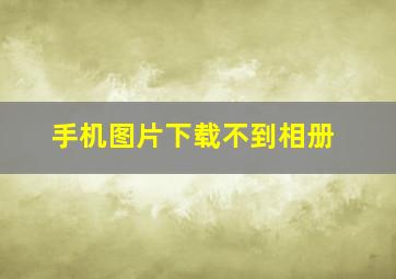 手机图片下载不到相册