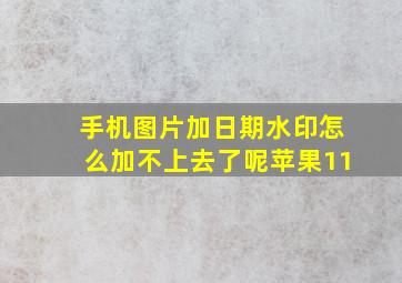 手机图片加日期水印怎么加不上去了呢苹果11