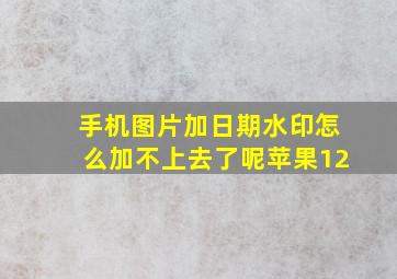 手机图片加日期水印怎么加不上去了呢苹果12