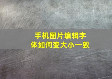 手机图片编辑字体如何变大小一致