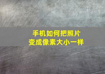 手机如何把照片变成像素大小一样