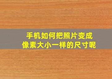 手机如何把照片变成像素大小一样的尺寸呢