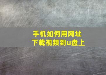 手机如何用网址下载视频到u盘上