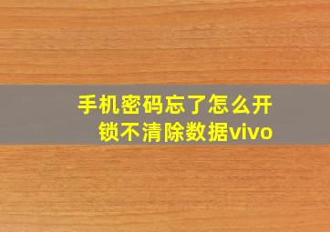 手机密码忘了怎么开锁不清除数据vivo