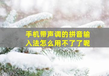 手机带声调的拼音输入法怎么用不了了呢