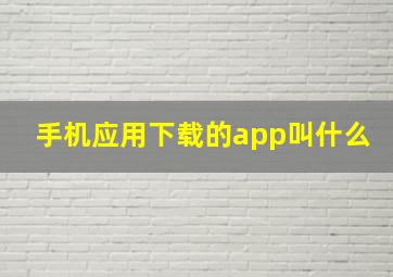 手机应用下载的app叫什么