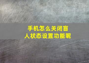 手机怎么关闭盲人状态设置功能呢