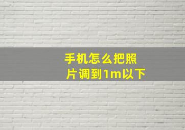 手机怎么把照片调到1m以下