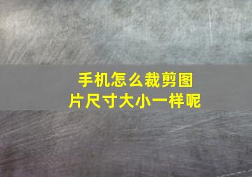 手机怎么裁剪图片尺寸大小一样呢