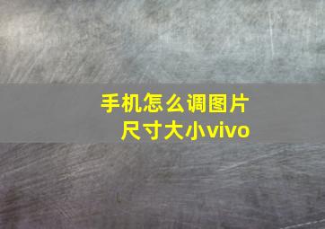 手机怎么调图片尺寸大小vivo