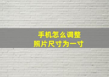 手机怎么调整照片尺寸为一寸