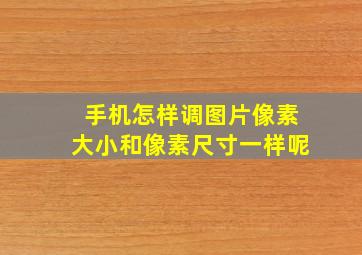 手机怎样调图片像素大小和像素尺寸一样呢