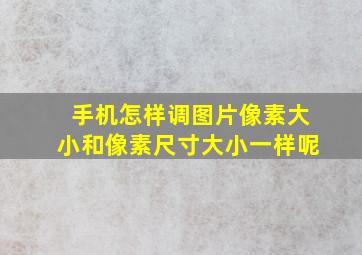 手机怎样调图片像素大小和像素尺寸大小一样呢