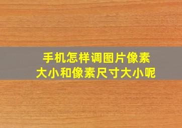 手机怎样调图片像素大小和像素尺寸大小呢