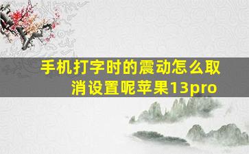 手机打字时的震动怎么取消设置呢苹果13pro