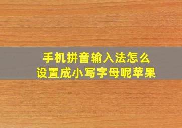 手机拼音输入法怎么设置成小写字母呢苹果