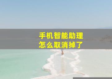 手机智能助理怎么取消掉了