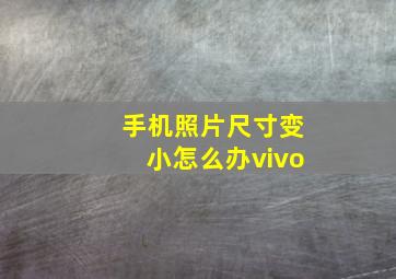 手机照片尺寸变小怎么办vivo