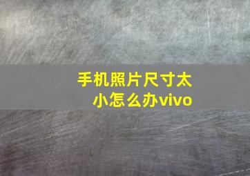 手机照片尺寸太小怎么办vivo