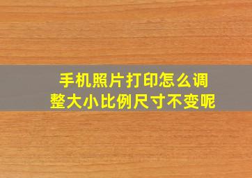 手机照片打印怎么调整大小比例尺寸不变呢