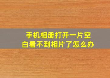 手机相册打开一片空白看不到相片了怎么办