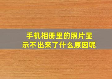 手机相册里的照片显示不出来了什么原因呢