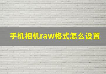 手机相机raw格式怎么设置