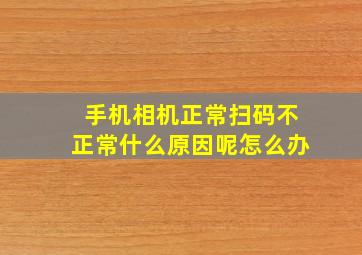 手机相机正常扫码不正常什么原因呢怎么办