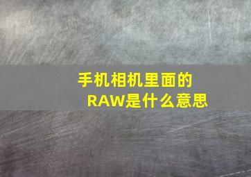 手机相机里面的RAW是什么意思