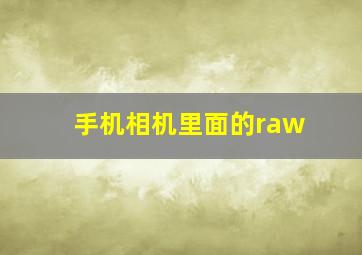 手机相机里面的raw