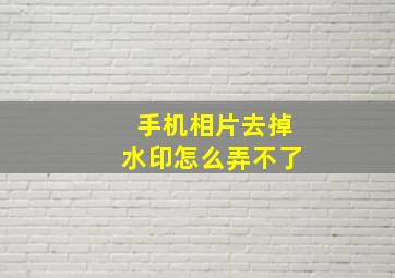 手机相片去掉水印怎么弄不了