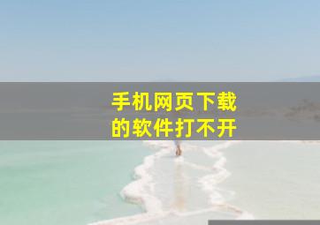 手机网页下载的软件打不开