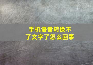 手机语音转换不了文字了怎么回事