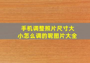 手机调整照片尺寸大小怎么调的呢图片大全