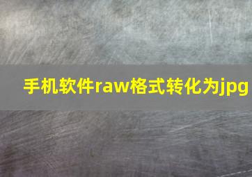 手机软件raw格式转化为jpg