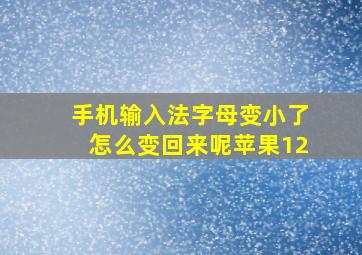 手机输入法字母变小了怎么变回来呢苹果12