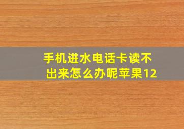 手机进水电话卡读不出来怎么办呢苹果12