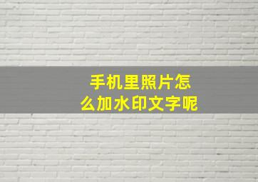 手机里照片怎么加水印文字呢