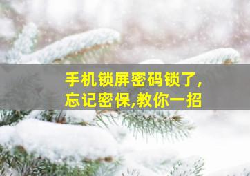 手机锁屏密码锁了,忘记密保,教你一招